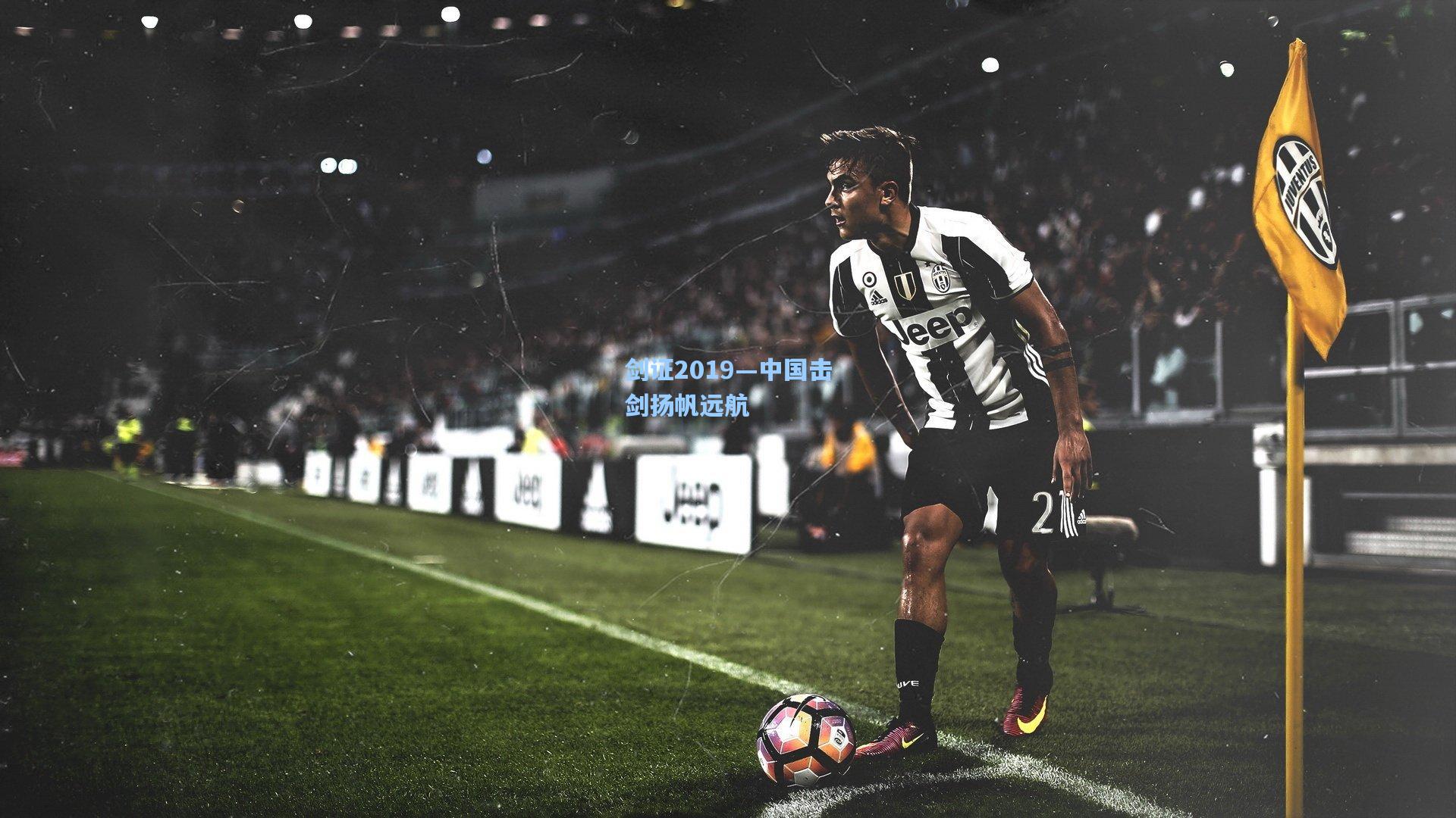 剑证2019—中国击剑扬帆远航