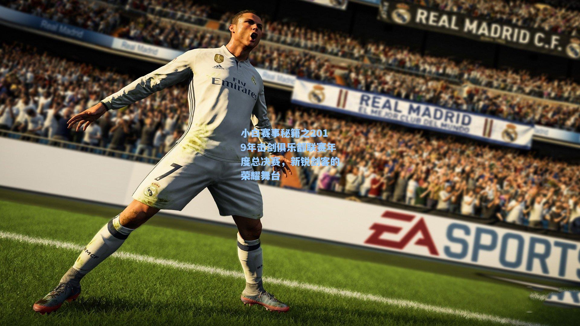 小白赛事秘籍之2019年击剑俱乐部联赛年度总决赛,新锐剑客的荣耀舞台