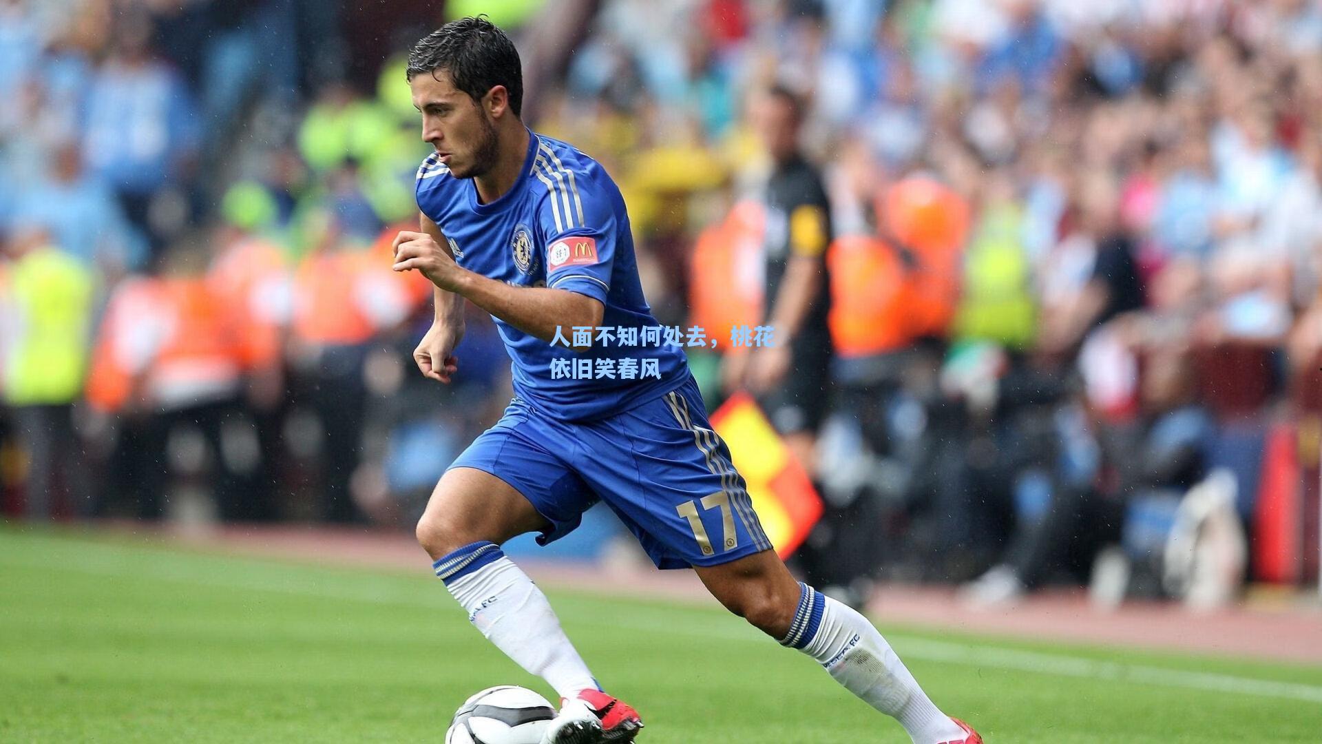 人面不知何处去，桃花依旧笑春风