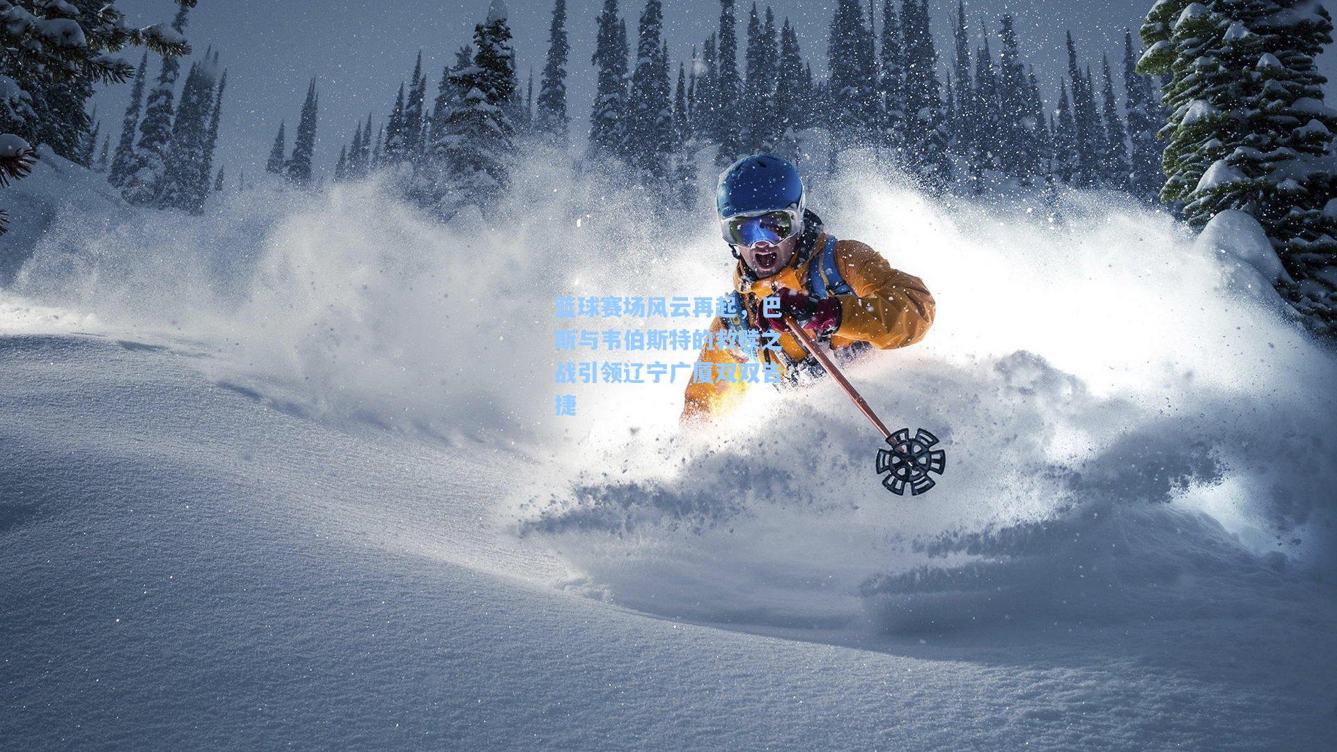 篮球赛场风云再起，巴斯与韦伯斯特的救赎之战引领辽宁广厦双双告捷